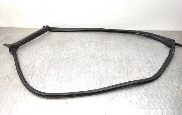 Tesla Model 3 Front door rubber seal 109049950000K