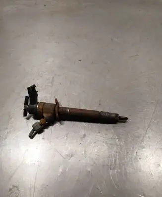 Volvo V70 Fuel injector 0445110251