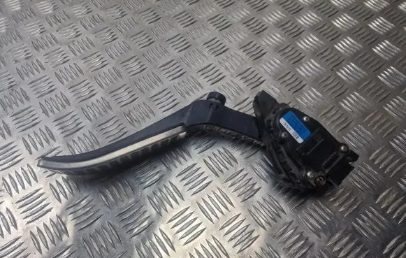 Volkswagen Touareg I Accelerator throttle pedal 7L6723507A