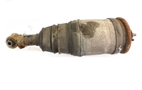Land Rover Range Rover L322 Rear shock absorber/damper 22238307