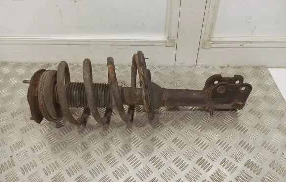Hyundai ix 55 Front shock absorber with coil spring
