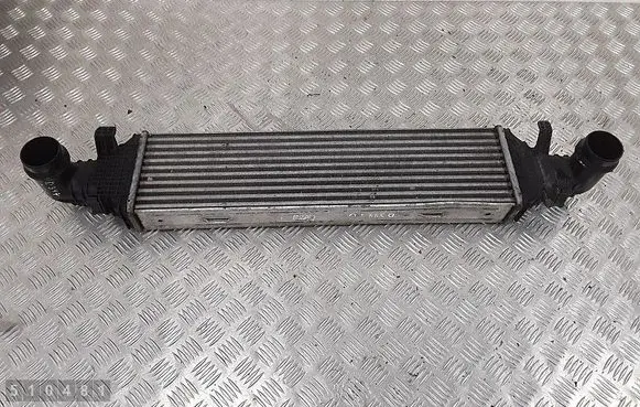 Intercooler radiator
