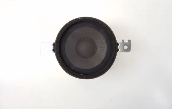 Panel speaker