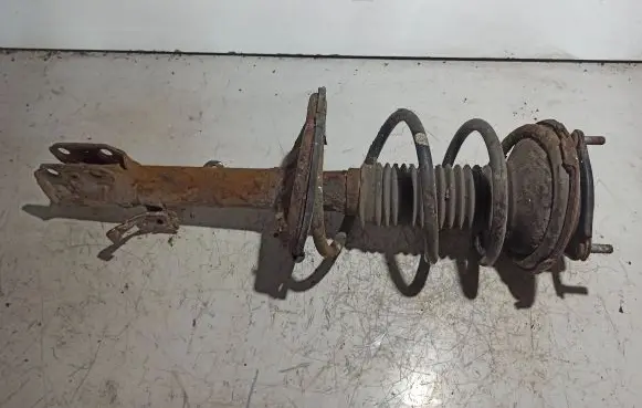 Toyota RAV 4 (XA20) Front shock absorber with coil spring