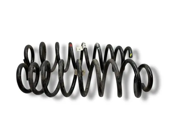 Rear coil spring