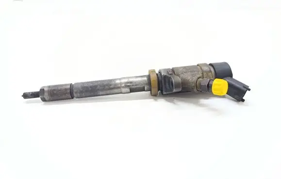 Citroen C4 I Fuel injector 0445110259