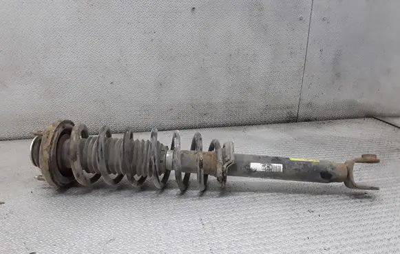 Chevrolet Evanda Rear shock absorber with coil spring 96496750 7441063