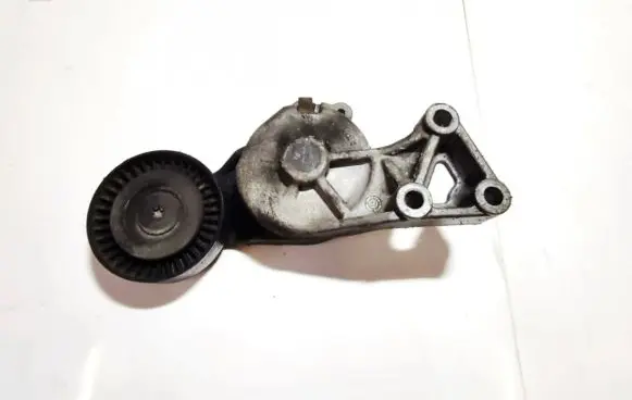 Seat Alhambra (Mk1) Generator/alternator belt tensioner 950372