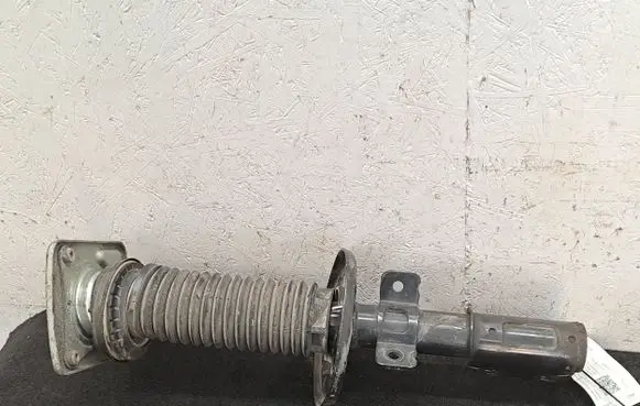 Peugeot Expert Front shock absorber/damper 9805519980 9821596780