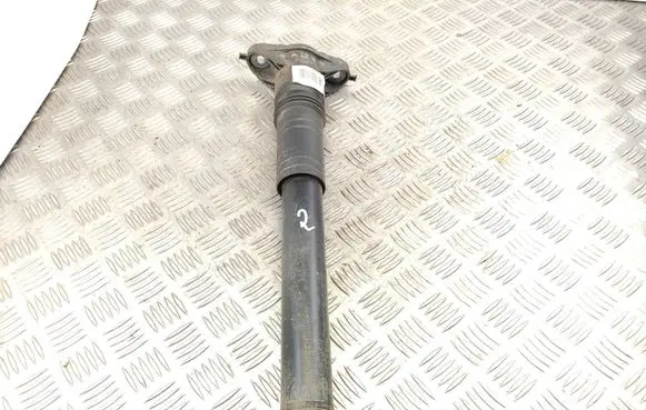 Citroen C4 III e-C4 Rear shock absorber/damper 9841379480 03011001138