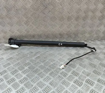 Tailgate/trunk strut/damper