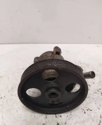 Peugeot 406 Power steering pump 540006