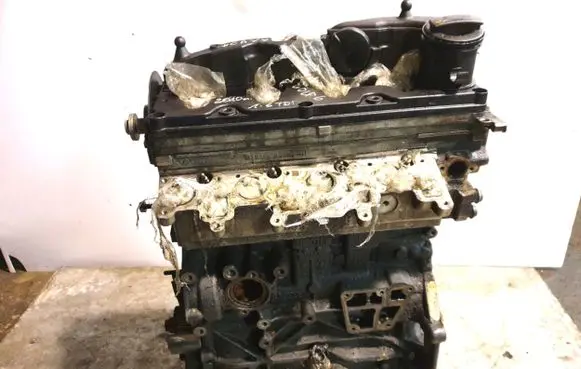 Volkswagen Golf VI Engine CAY