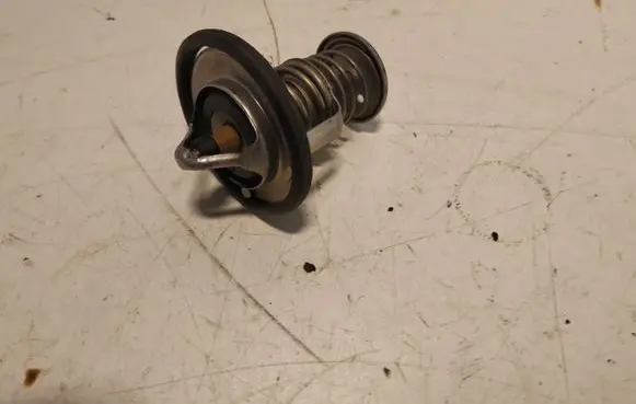 Thermostat/thermostat housing