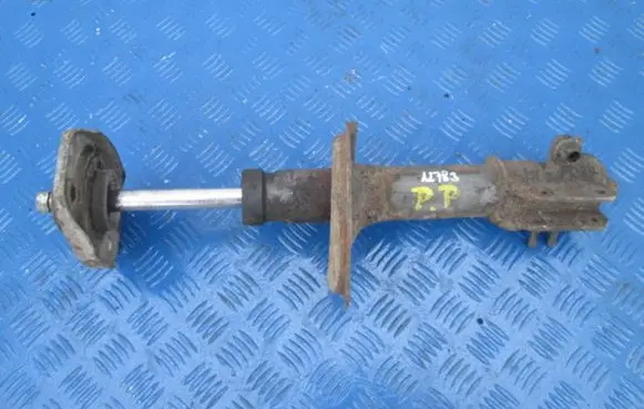 Fiat Punto (176) Front shock absorber with coil spring