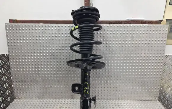 Toyota RAV 4 (XA30) Front shock absorber/damper S25165520 X032339