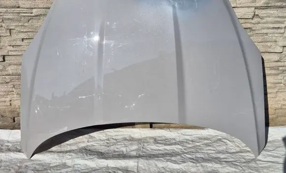 Engine bonnet/hood