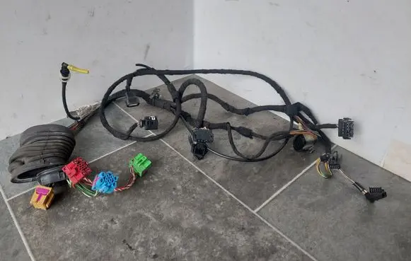 Front door wiring loom