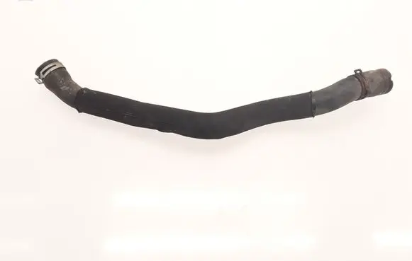 Mercedes-Benz B W245 Engine coolant pipe/hose A1695011382