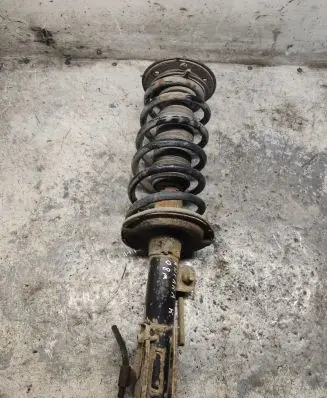 Opel Antara Front shock absorber with coil spring