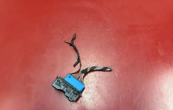 BMW X3 G01 Front door wiring loom 9221027