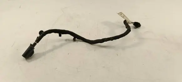 Other wiring loom