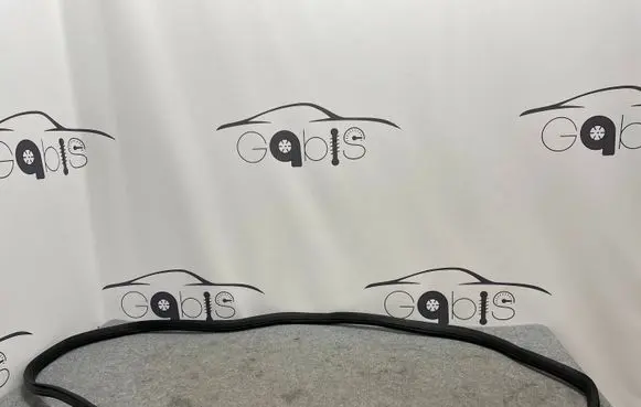 Mercedes-Benz GLS X166 Front door rubber seal A1666970051