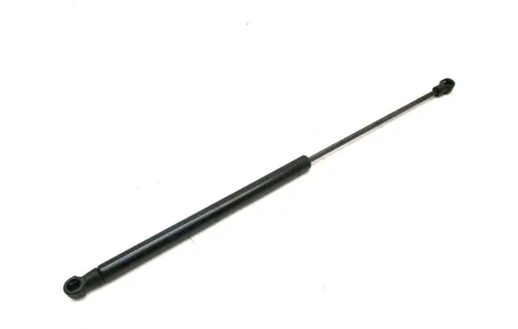 Tailgate strut
