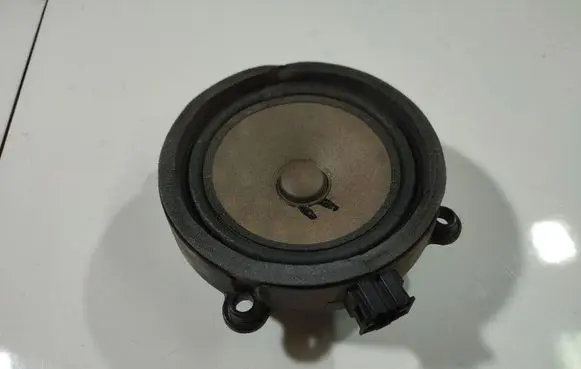 Front door speaker