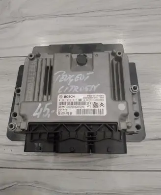 Engine control unit/module ECU