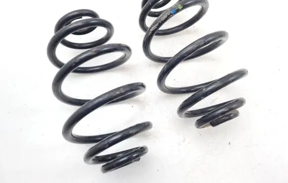 Volkswagen PASSAT B5.5 Rear coil spring