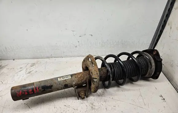 Volkswagen Golf V Front shock absorber/damper 1K0413031BF
