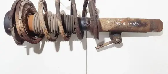 Peugeot 206 Front coil spring