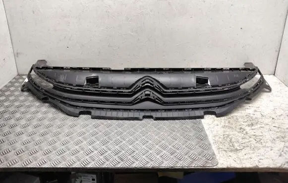 Citroen Berlingo Front grill 9816749780 99899498