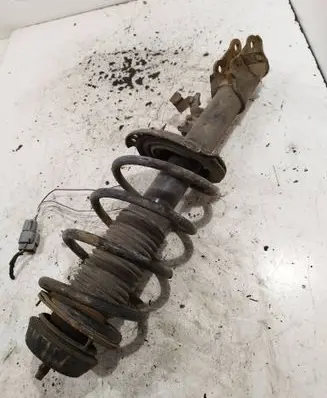 Hyundai i20 (PB PBT) Front shock absorber with coil spring