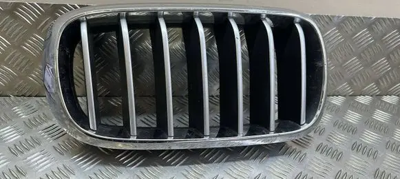 BMW X6 F16 Front bumper upper radiator grill 7316076