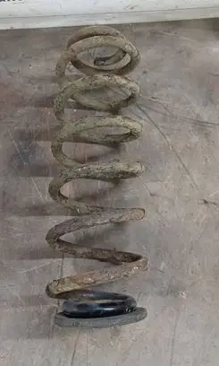 Volkswagen PASSAT B6 Rear coil spring 17060856