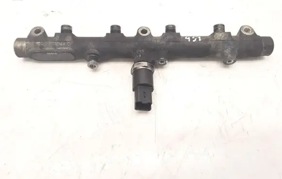 Peugeot 406 Fuel main line pipe 0445214017