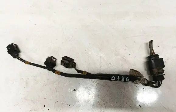 Other wiring loom