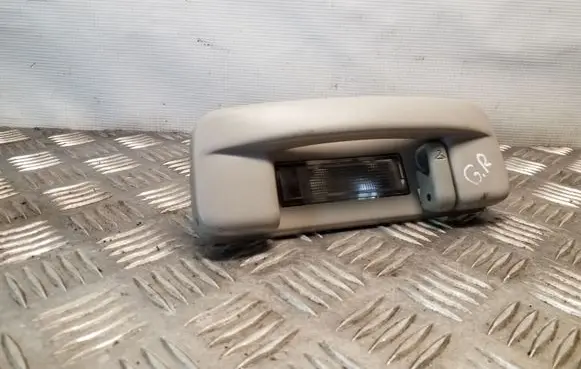 Chrysler 300 - 300C Rear interior roof grab handle 829880