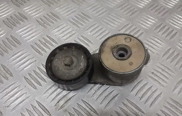 Fiat Punto (188) Timing belt/chain tensioner C730