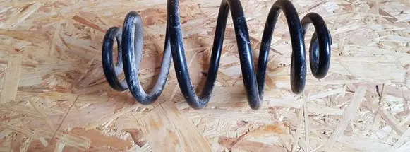 Volkswagen PASSAT B5.5 Rear coil spring