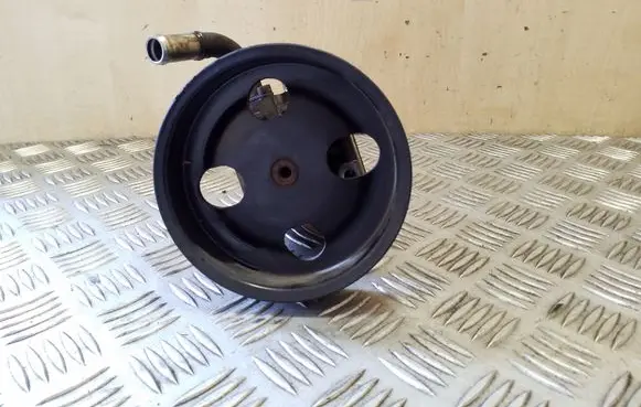 Suzuki Grand Vitara II Power steering pump 85223071 4910067J00