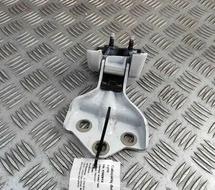 Citroen Jumpy Rear door lower hinge 9820032180