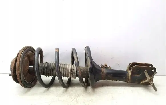Hyundai Santa Fe Front shock absorber with coil spring 