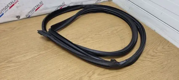 BMW 6 F06 Gran coupe Rubber seal front door (on door) 7275297