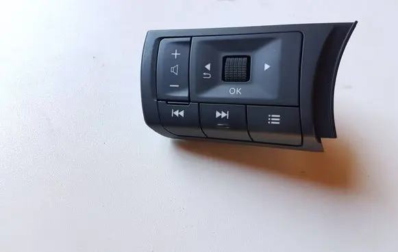 Nissan Qashqai J12 Steering wheel buttons/switches 255506RF5B