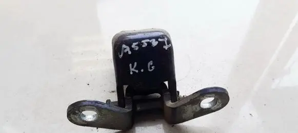 Rear door lower hinge