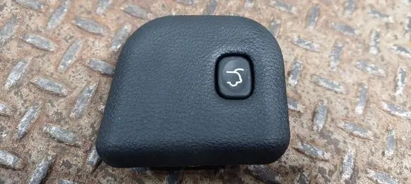 Dodge Durango III Tailgate/boot open switch button I01646003BL