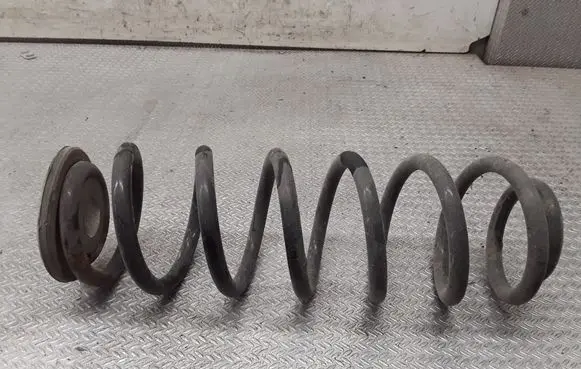 Volkswagen PASSAT B6 Rear coil spring